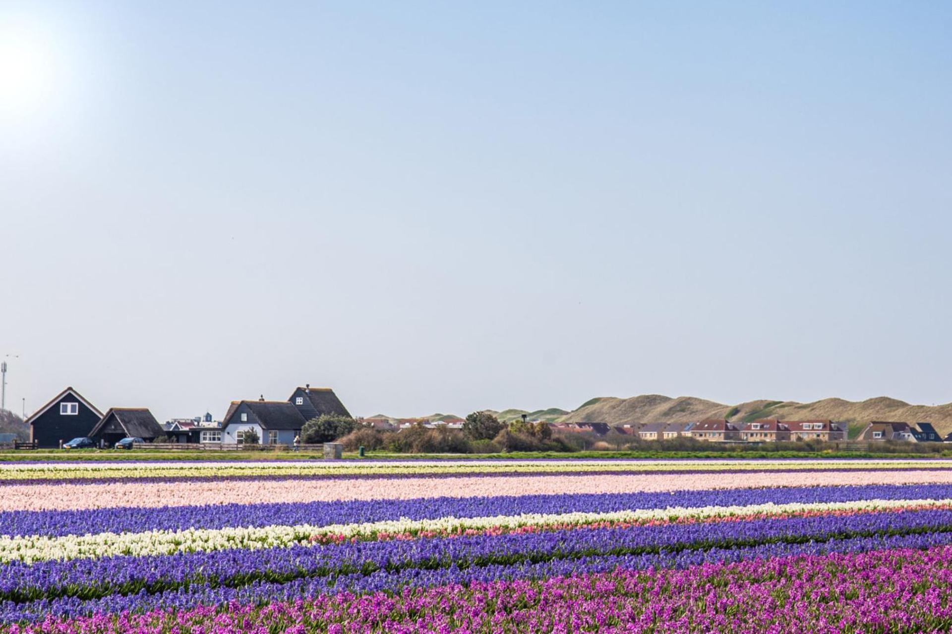 Vakantiehuis Nordseezauber - Callantsoog Aan Zee المظهر الخارجي الصورة